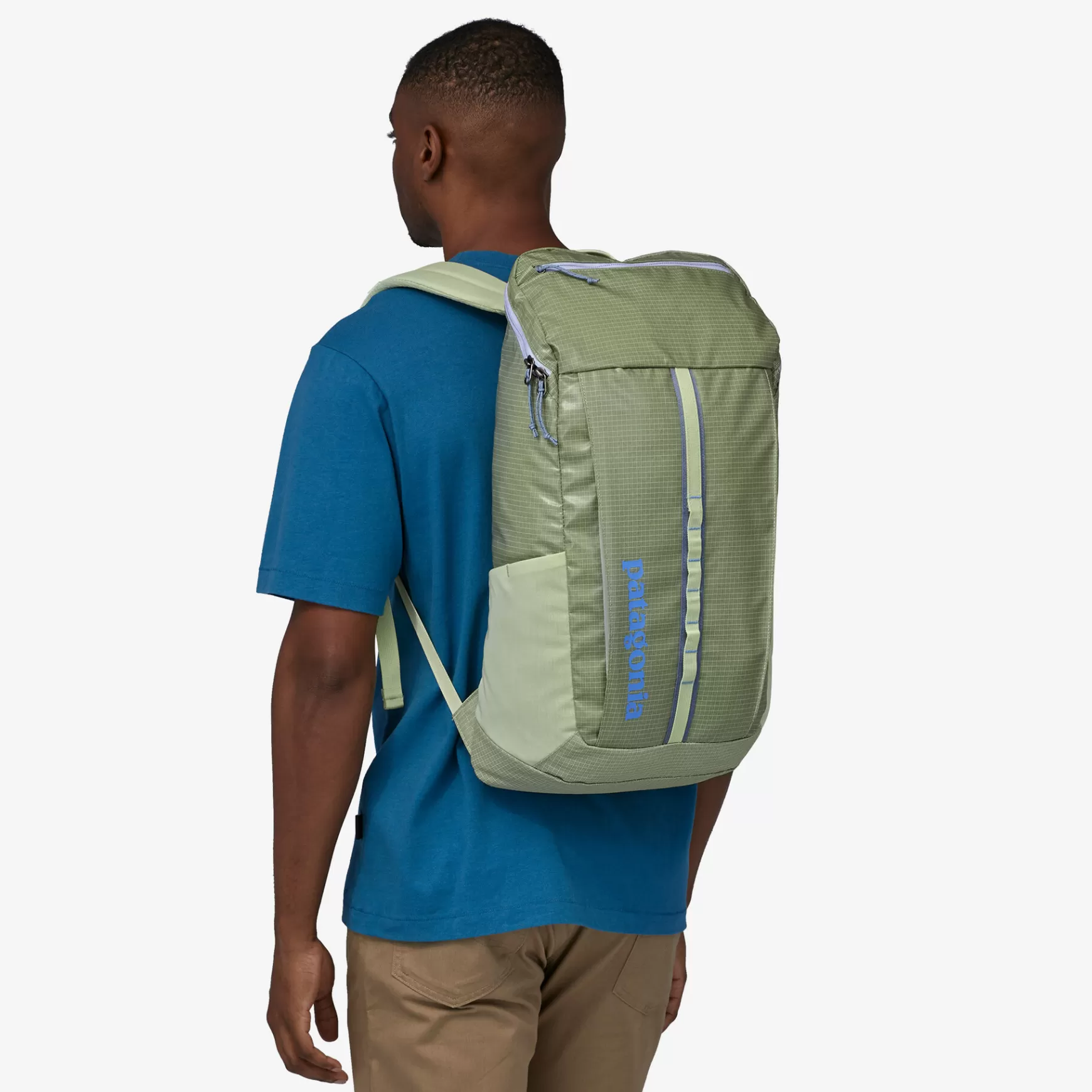 Patagonia Black Hole Pack 25L Friend Green Store